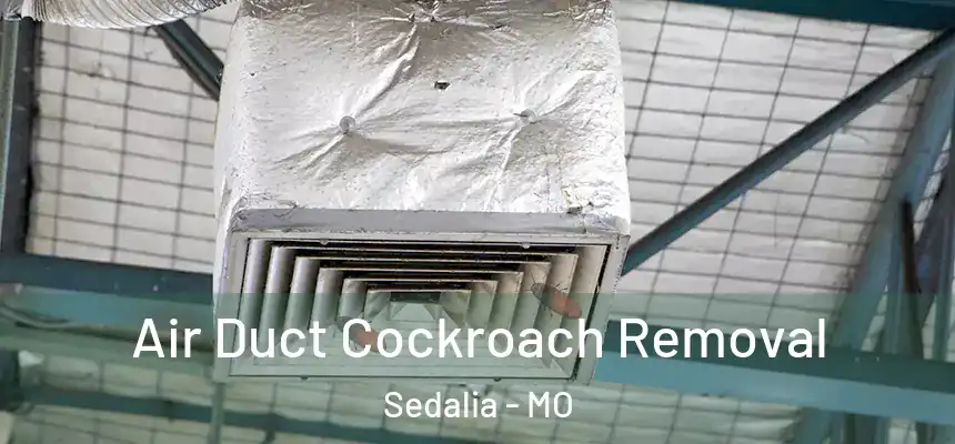 Air Duct Cockroach Removal Sedalia - MO