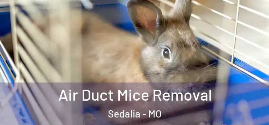  Air Duct Mice Removal Sedalia - MO