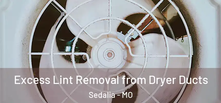 Excess Lint Removal from Dryer Ducts Sedalia - MO