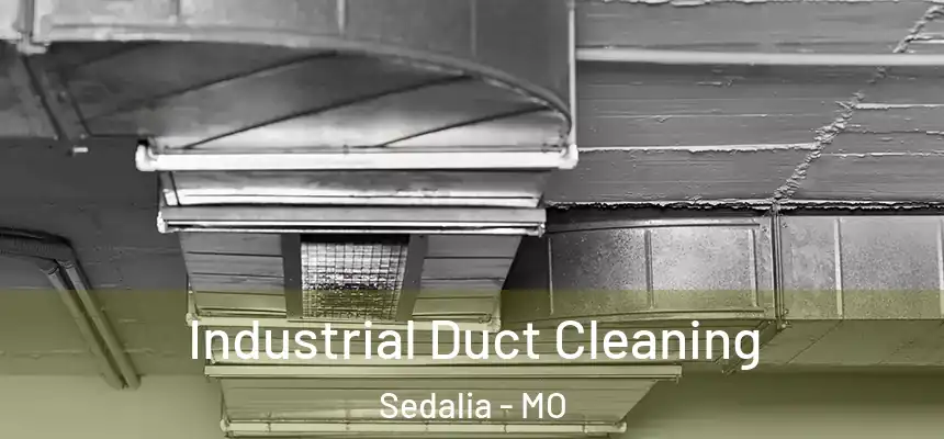  Industrial Duct Cleaning Sedalia - MO