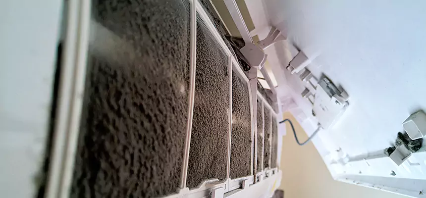 Preventive Air Duct Bacteria Removal in Sedalia