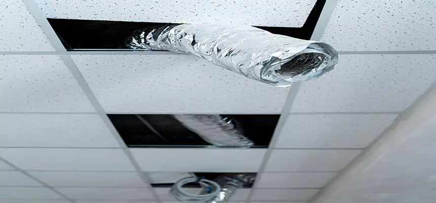 Affordable HVAC Sanitizing After Pest Removal in Sedalia