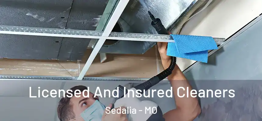  Licensed And Insured Cleaners Sedalia - MO