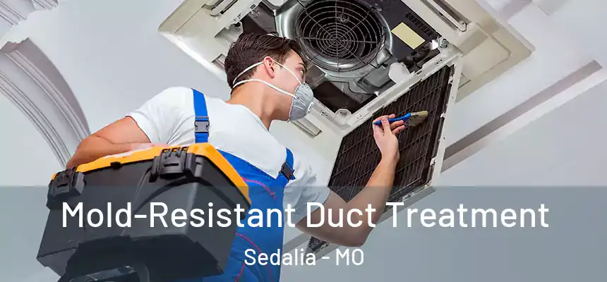  Mold-Resistant Duct Treatment Sedalia - MO