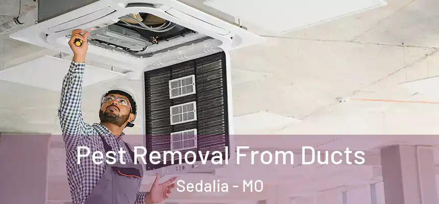 Pest Removal From Ducts Sedalia - MO