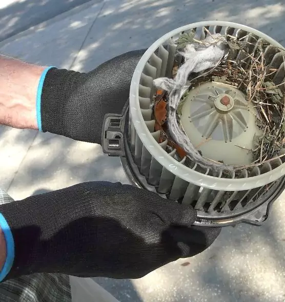 About Air Duct Rat Removal in Sedalia, MO