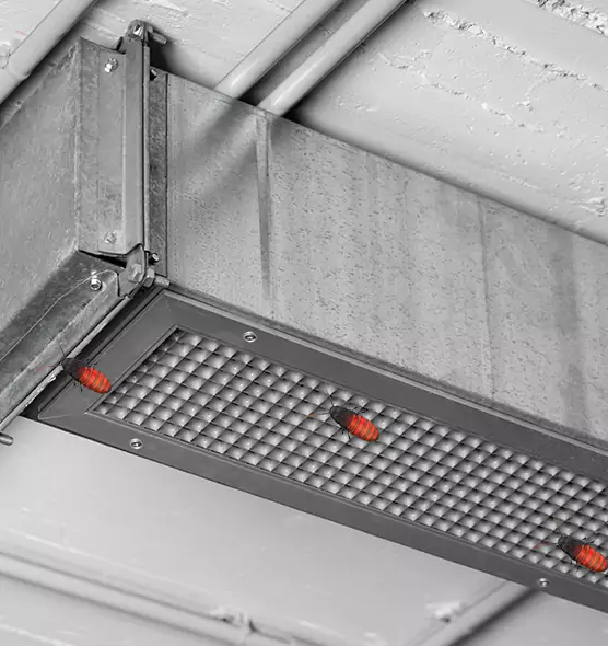 Affordable Insect Removal from Air Ducts in Sedalia, MO