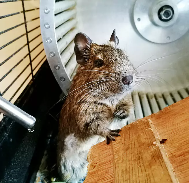 Why Homeowners & Businesses Trust Us Sedalia, MO