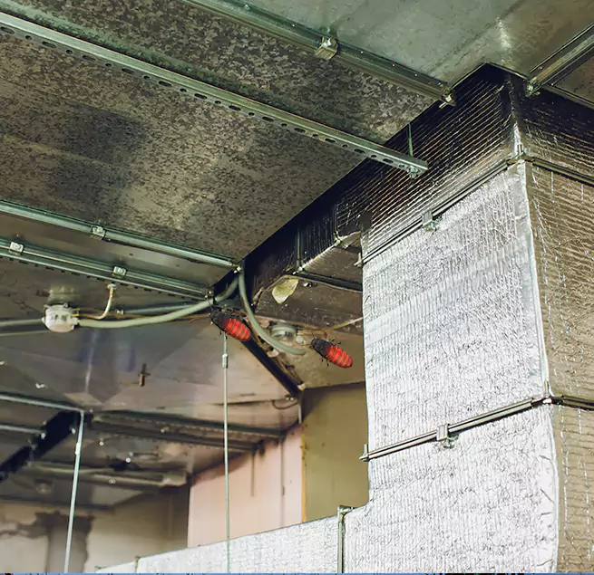 Why Homeowners & Businesses Trust Us Sedalia, MO?