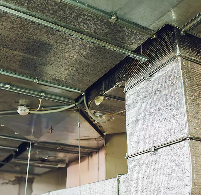 Why Homeowners & Businesses Trust Us in Sedalia, MO?